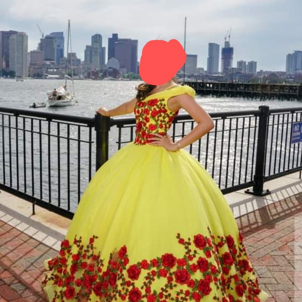 Quinceañera bundle dress size 6 , bouquet red roses and rhinestones, and bear